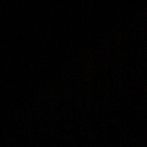 Meet your Posher, George